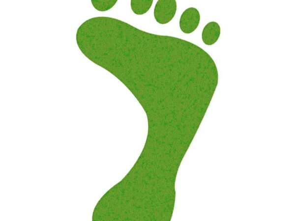 découvrez ce qu'est l'empreinte carbone, son importance, et comment réduire efficacement votre impact environnemental au quotidien grâce à des gestes simples et responsables.