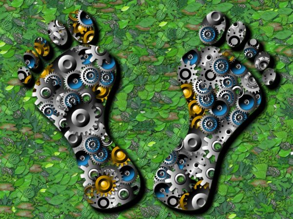 découvrez ce qu'est l'empreinte écologique, son importance et comment réduire votre impact sur l'environnement au quotidien grâce à des gestes simples et durables.