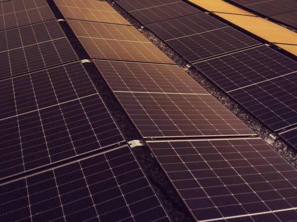 découvrez tout sur la durabilité : concepts clés, enjeux environnementaux et solutions pour un avenir responsable. adoptez des pratiques durables pour préserver notre planète.