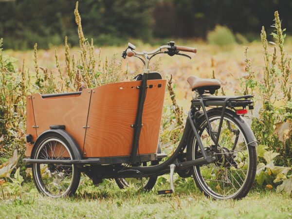 découvrez comment adopter des pratiques durables au quotidien pour préserver l'environnement, améliorer votre bien-être et contribuer à un avenir plus responsable.