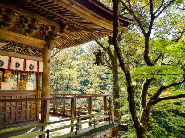 découvrez des destinations durables alliant respect de l'environnement et expériences authentiques pour un voyage responsable et enrichissant.