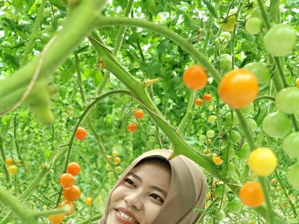 découvrez les secrets du jardinage urbain biologique pour cultiver vos propres légumes et herbes aromatiques en milieu citadin, de manière écologique et saine.