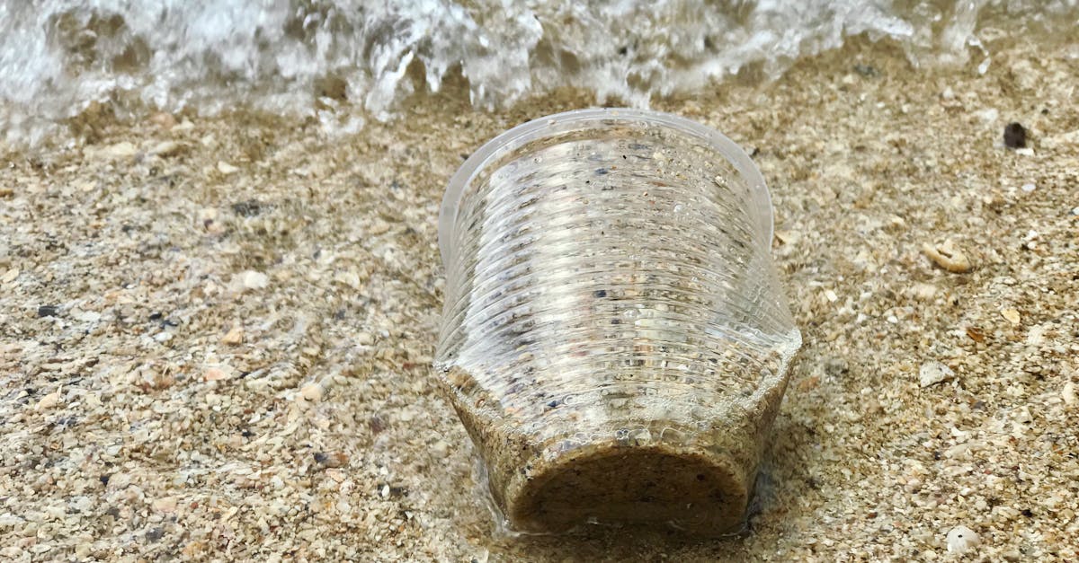 découvrez l'impact croissant des déchets plastiques sur notre planète. explorez des solutions innovantes et des initiatives écologiques pour réduire ce fléau et protéger notre environnement.