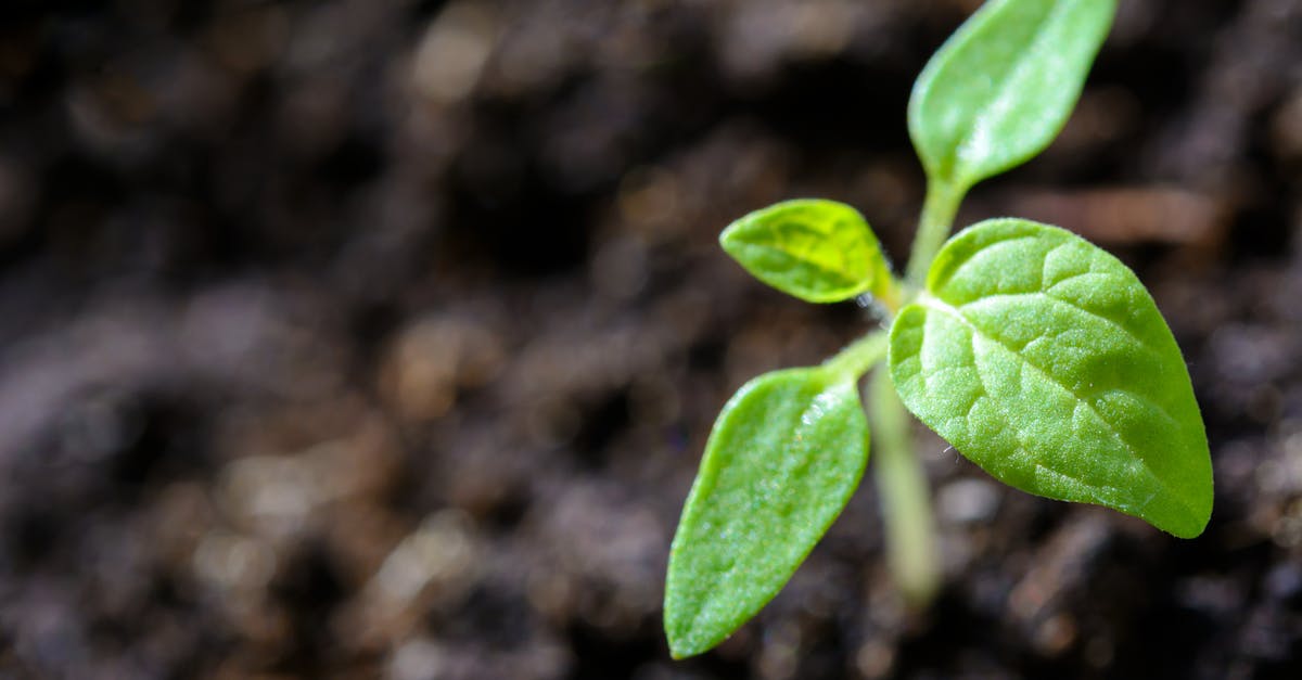 découvrez comment la durabilité transforme notre monde. explorez des pratiques écoresponsables, des innovations vertes, et des solutions pour un avenir respectueux de l'environnement.