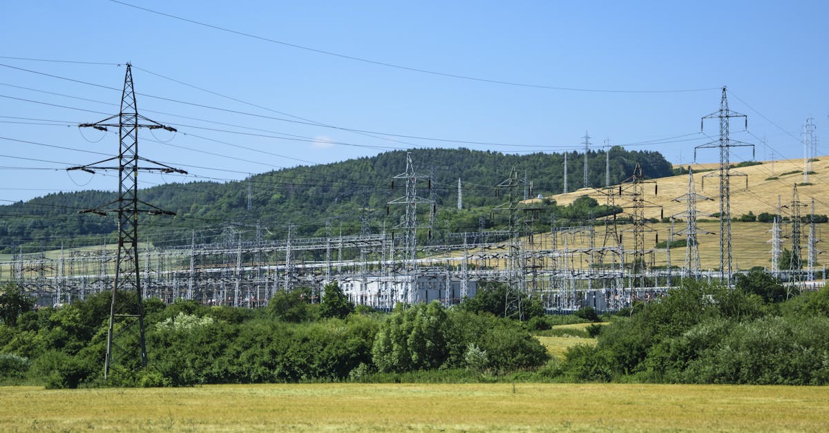 découvrez l'importance de la protection de l'environnement, explorez des solutions durables pour préserver notre planète et engagez-vous dans des actions concrètes pour un avenir écoresponsable.