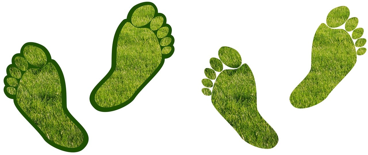 découvrez ce qu'est l'empreinte carbone, son impact sur l'environnement et des solutions pratiques pour réduire votre propre empreinte. informez-vous sur les actions individuelles et collectives à mettre en place pour contribuer à la lutte contre le changement climatique.