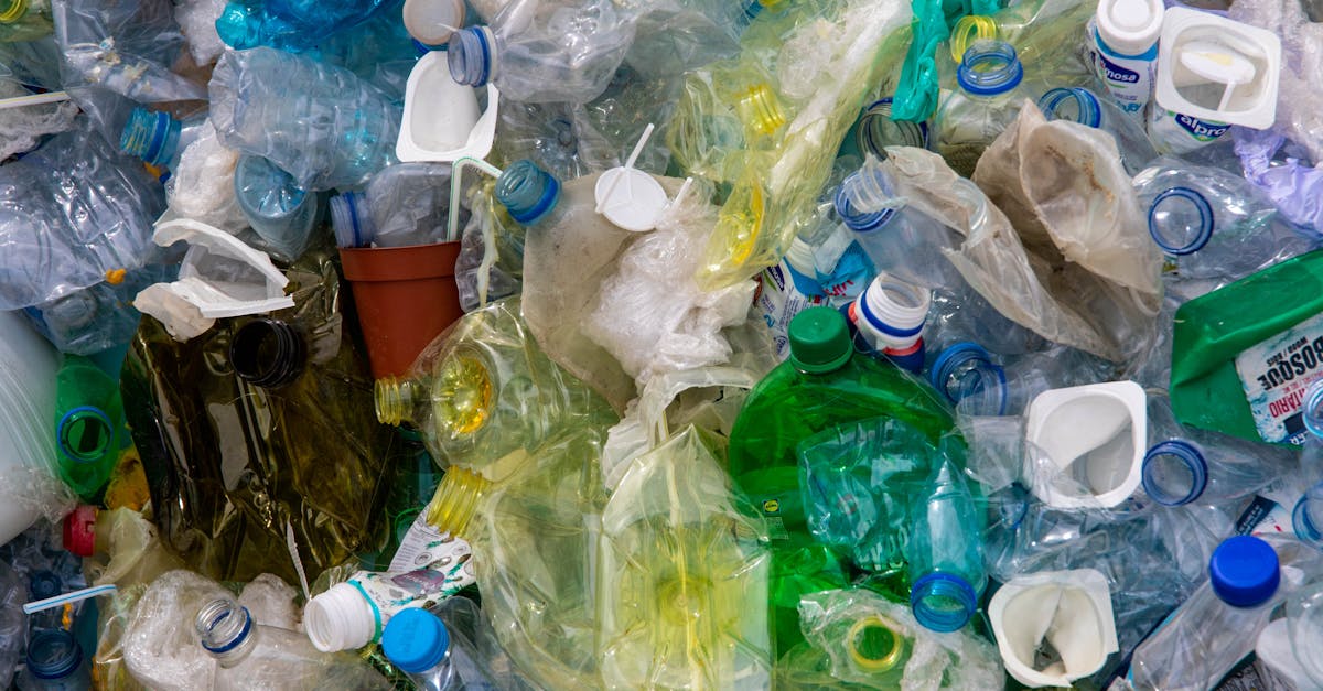découvrez les principes de l'économie circulaire, un modèle durable qui vise à réduire le gaspillage, optimiser l'utilisation des ressources et favoriser le recyclage. apprenez comment cette approche innovante transforme les industries et contribue à un avenir plus respectueux de l'environnement.