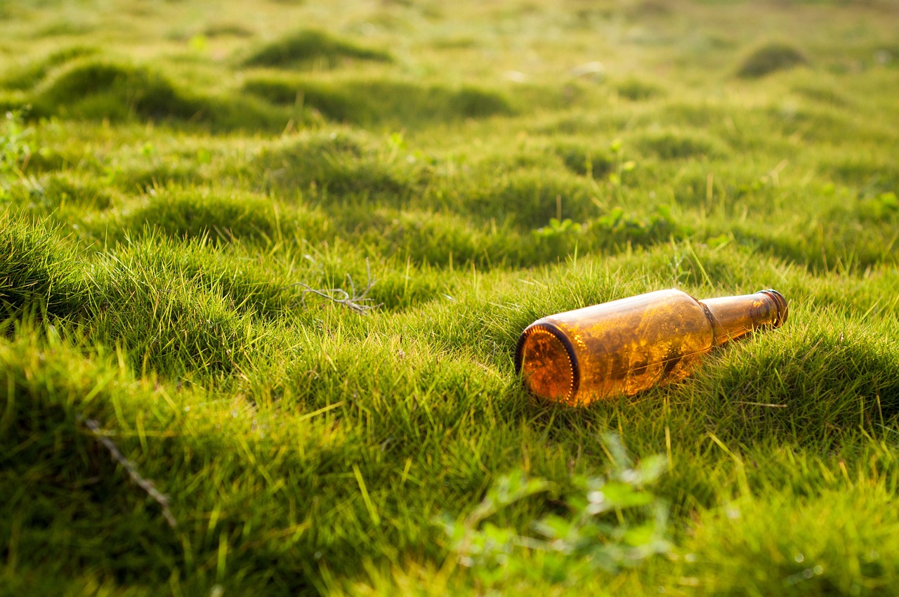 découvrez l'impact environnemental et les actions pour préserver notre planète grâce à des solutions durables et responsables.