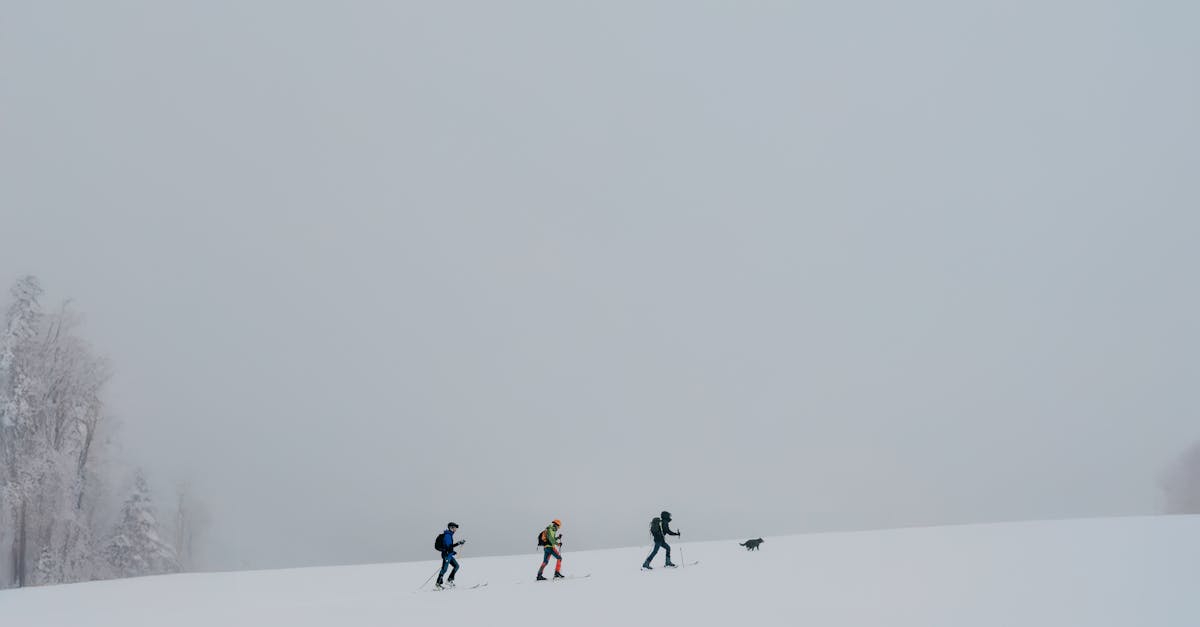 découvrez la situation climatique actuelle, ses enjeux et les conséquences sur notre planète. analyse des données, des tendances et des mesures à prendre pour un avenir durable.