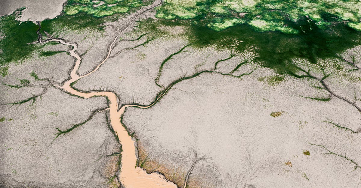découvrez comment la gouvernance écologique façonne un avenir durable en intégrant les principes de protection de l'environnement, de justice sociale et de participation citoyenne. explorez les stratégies innovantes pour une gestion responsable des ressources naturelles et un développement harmonieux.