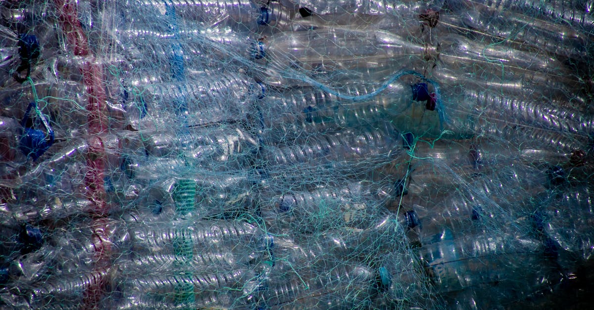 découvrez les principes et les avantages de l'économie circulaire, un modèle durable qui vise à réduire le gaspillage, promouvoir le recyclage et optimiser l'utilisation des ressources. adoptez un mode de vie respectueux de l'environnement tout en stimulant l'innovation et la croissance économique.