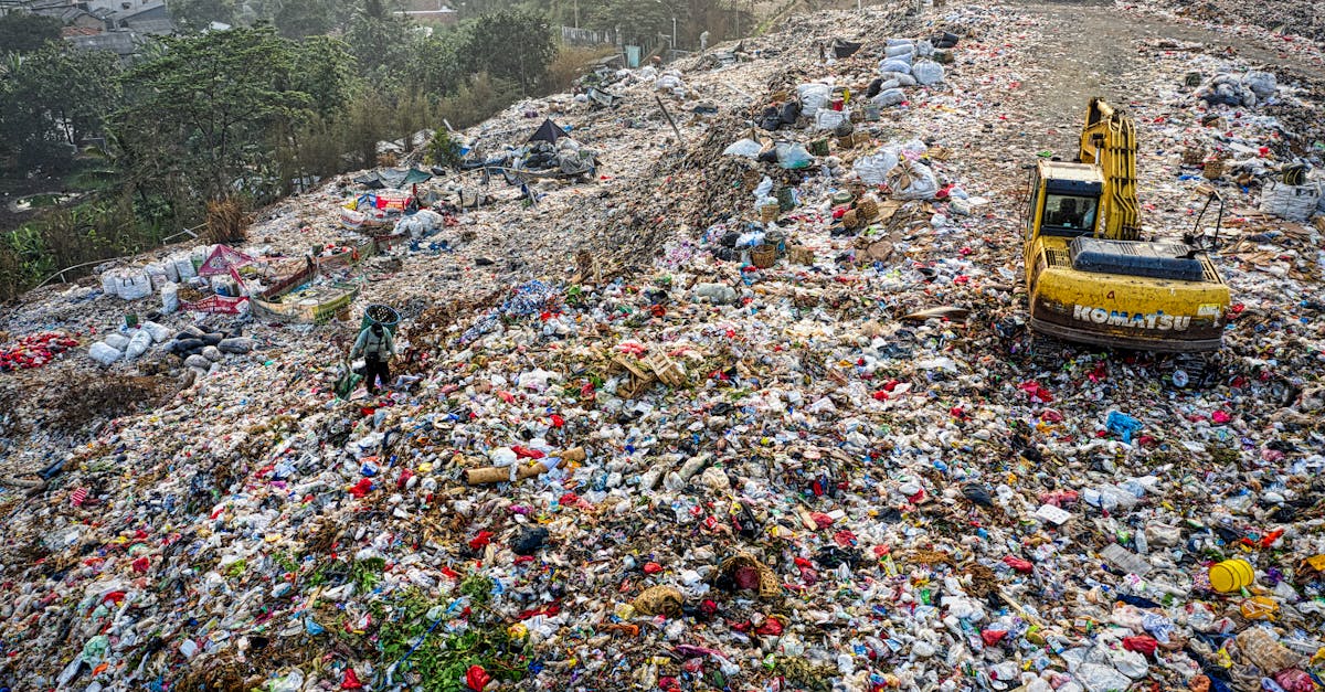 découvrez les enjeux de la pollution, ses causes et conséquences sur notre environnement et notre santé. explorez des solutions durables pour réduire notre empreinte écologique et préserver notre planète.