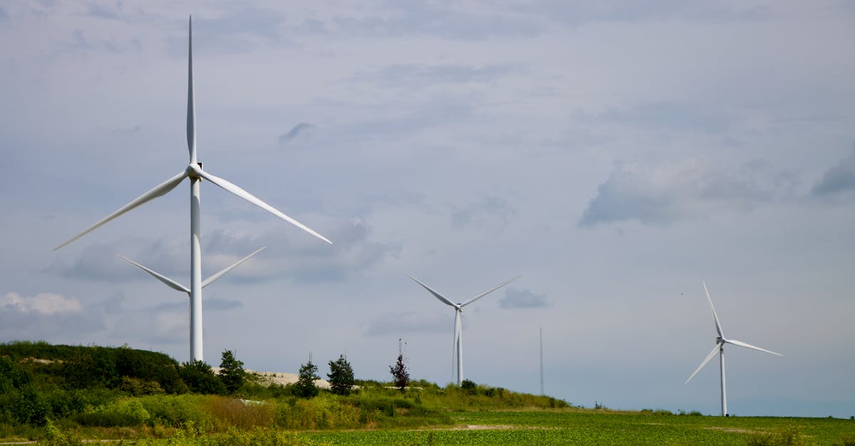 découvrez tout ce qu'il faut savoir sur les combustibles fossiles : leur origine, leur impact environnemental, et les alternatives durables pour un avenir énergétique responsable.