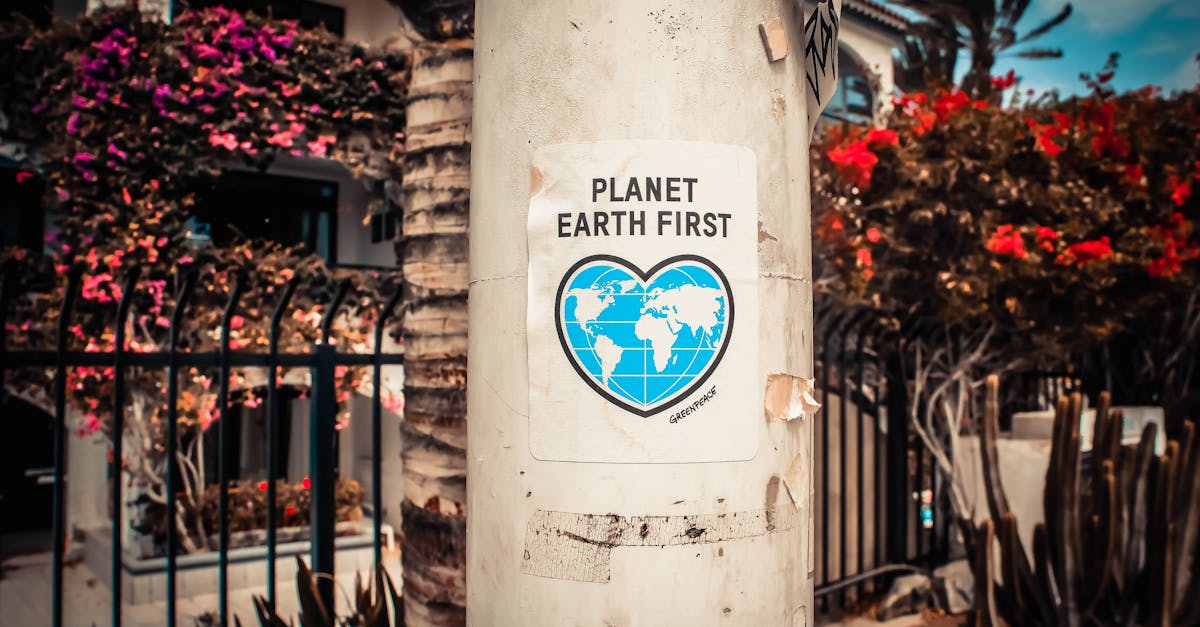 découvrez des conseils et astuces pour un mode de vie durable et respectueux de l'environnement. apprenez à réduire votre empreinte carbone, à adopter des pratiques écoresponsables et à vivre en harmonie avec la nature.