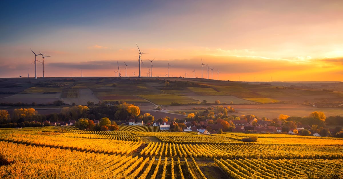 découvrez des pratiques durables pour un avenir respectueux de l'environnement. apprenez comment réduire votre empreinte écologique et profiter d'un mode de vie plus sain et responsable.