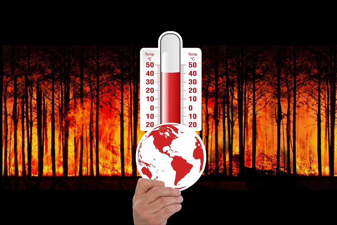 découvrez les causes et conséquences du changement climatique, ainsi que les solutions pour limiter son impact sur l’environnement et la société.