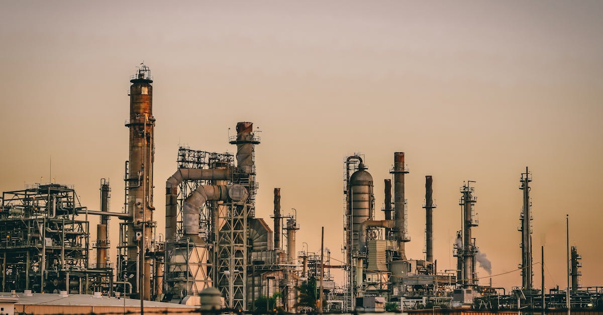 découvrez l'importance des ressources durables pour un avenir éco-responsable. explorez des pratiques innovantes et des solutions respectueuses de l'environnement qui préservent notre planète tout en soutenant le développement durable.