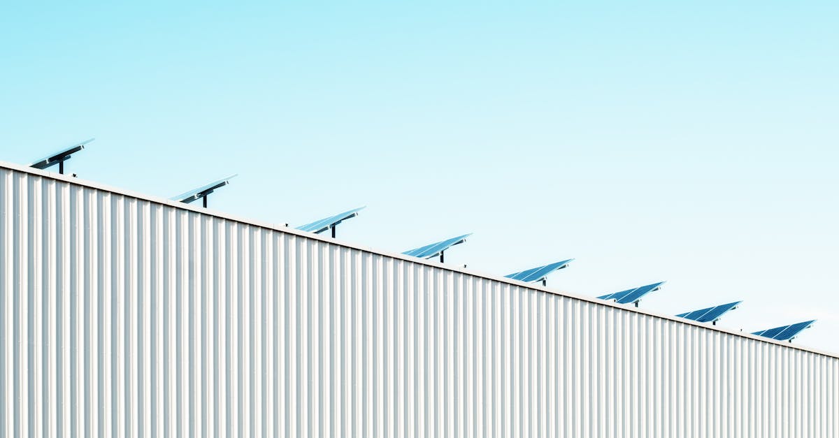 découvrez les enjeux et les pratiques de la durabilité pour un avenir meilleur. explorez des solutions écologiques et des initiatives novatrices qui favorisent un mode de vie respectueux de l'environnement.