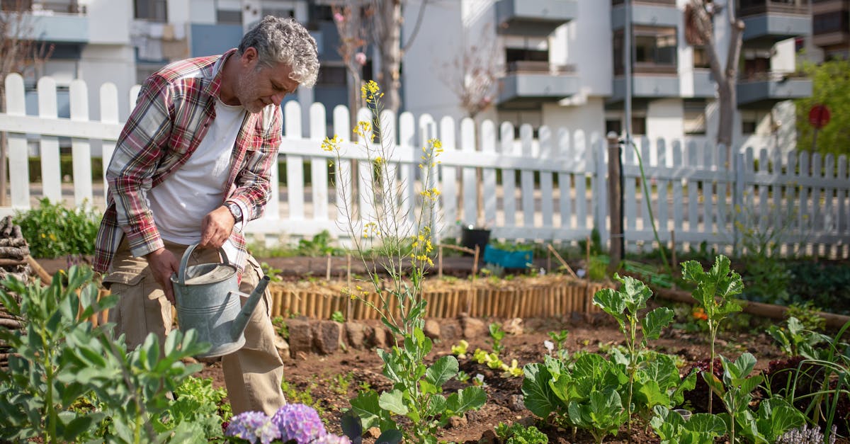 découvrez l'agriculture urbaine, une pratique innovante qui transforme les villes en espaces de culture durable. apprenez comment cultiver des légumes, des fruits et des herbes en milieu urbain tout en contribuant à l'environnement et en favorisant la biodiversité. explorez des astuces, des techniques et des projets inspirants pour devenir acteur de votre propre production alimentaire en ville.