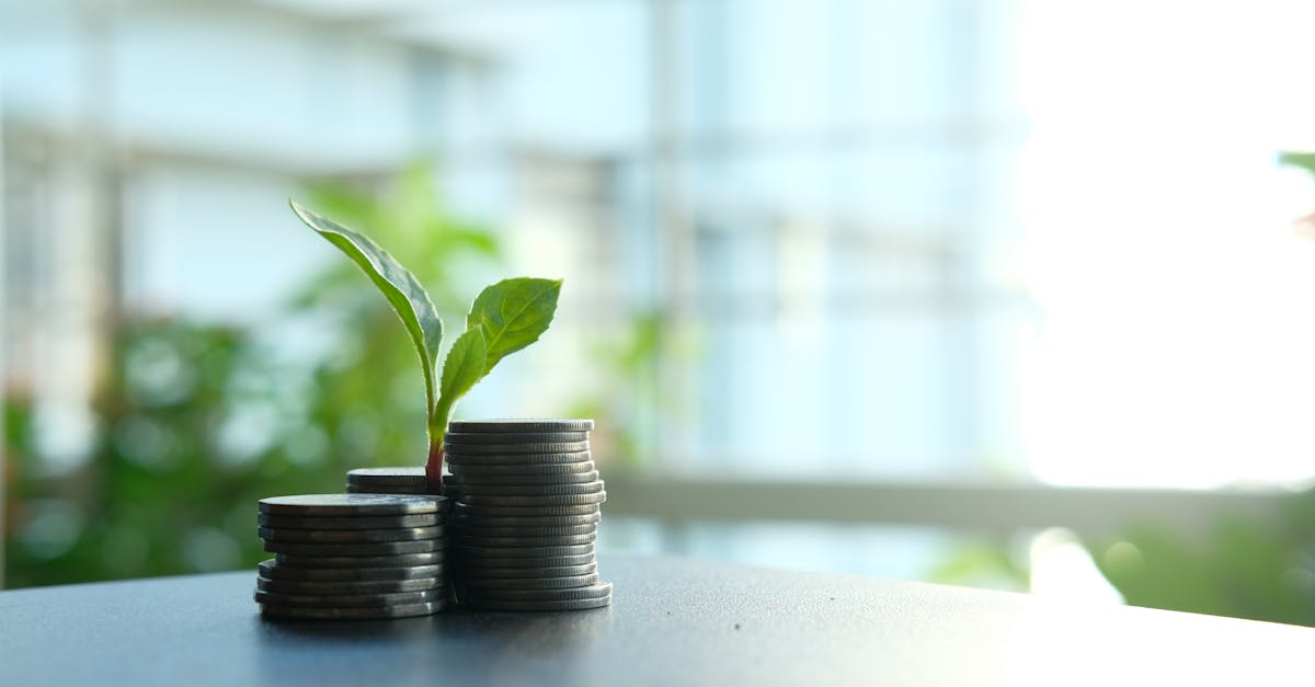découvrez les principes de la finance durable et comment elle contribue à un avenir économique et environnemental responsable. explorez des solutions innovantes pour investir tout en préservant notre planète.