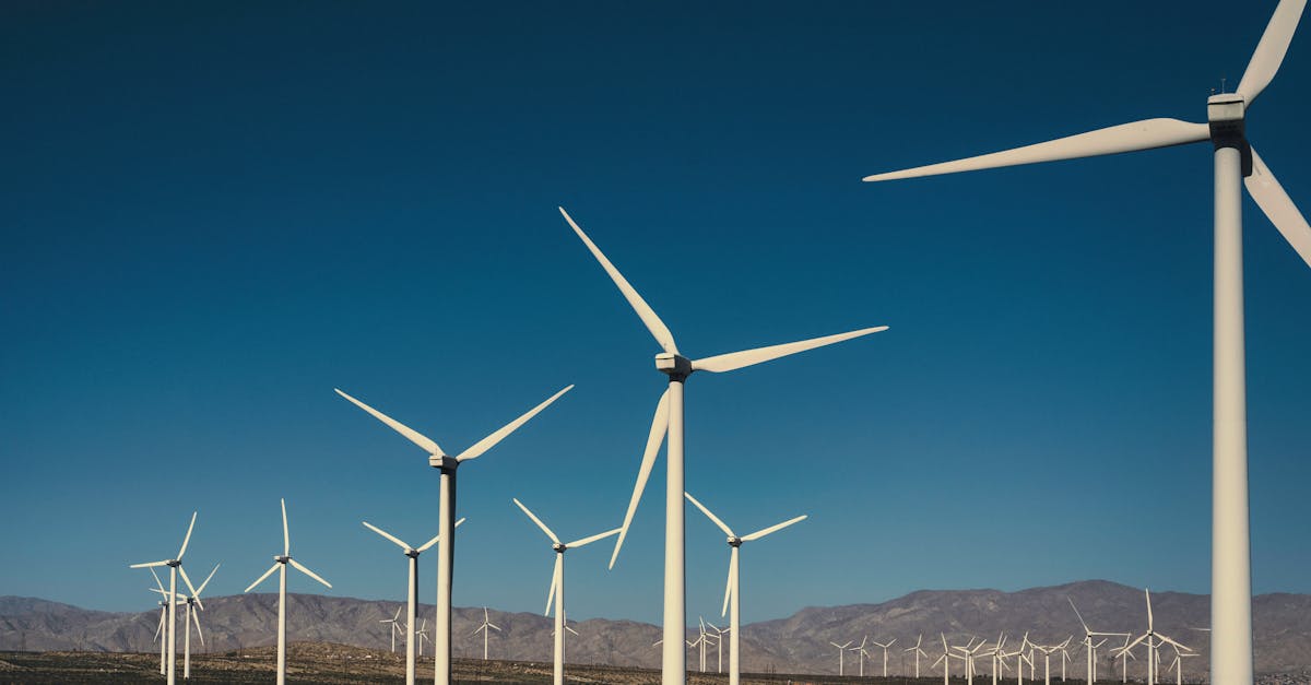 découvrez ce qu'est l'empreinte carbone, son impact sur l'environnement et les moyens de la réduire pour un avenir plus durable. explorez des conseils pratiques pour minimiser votre empreinte écologique au quotidien.
