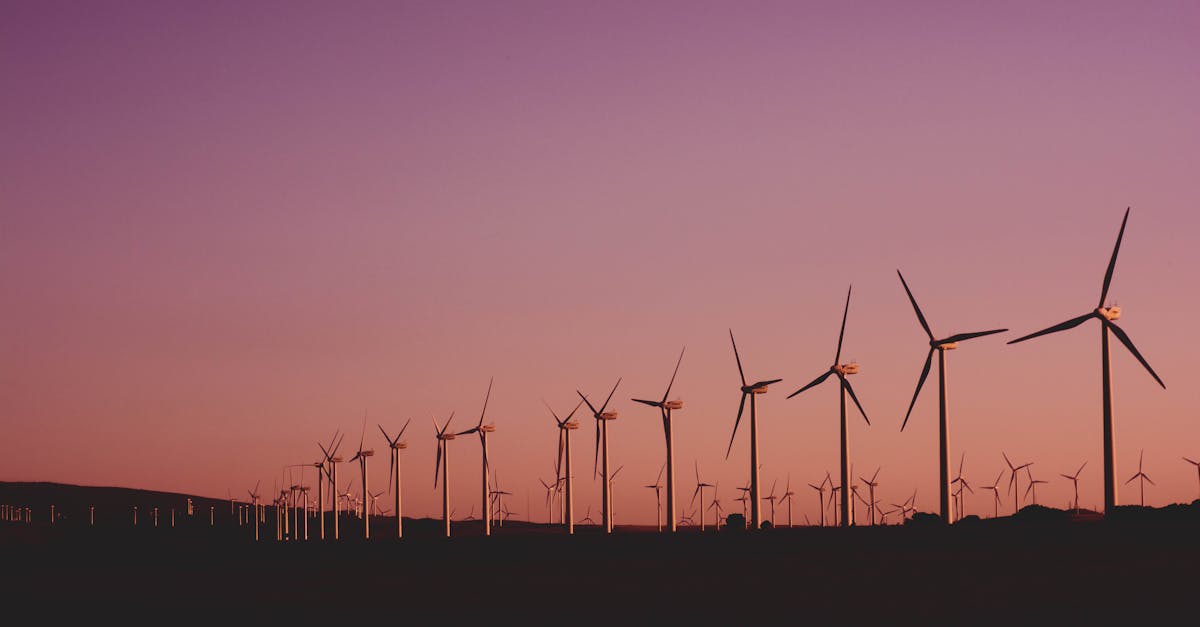 découvrez l'importance de la durabilité dans nos vies quotidiennes et son impact sur notre planète. apprenez des pratiques écoresponsables pour préserver l'environnement et favoriser un avenir durable.