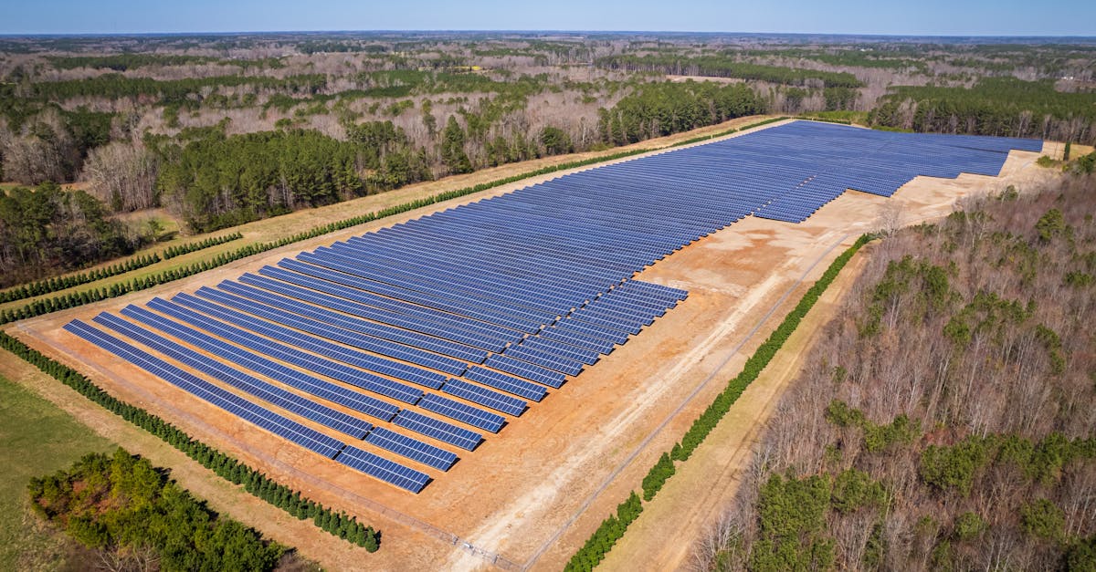 découvrez comment les ressources durables transforment notre économie et protègent notre planète. apprenez les meilleures pratiques pour utiliser de manière responsable les ressources naturelles et favoriser un avenir plus vert.