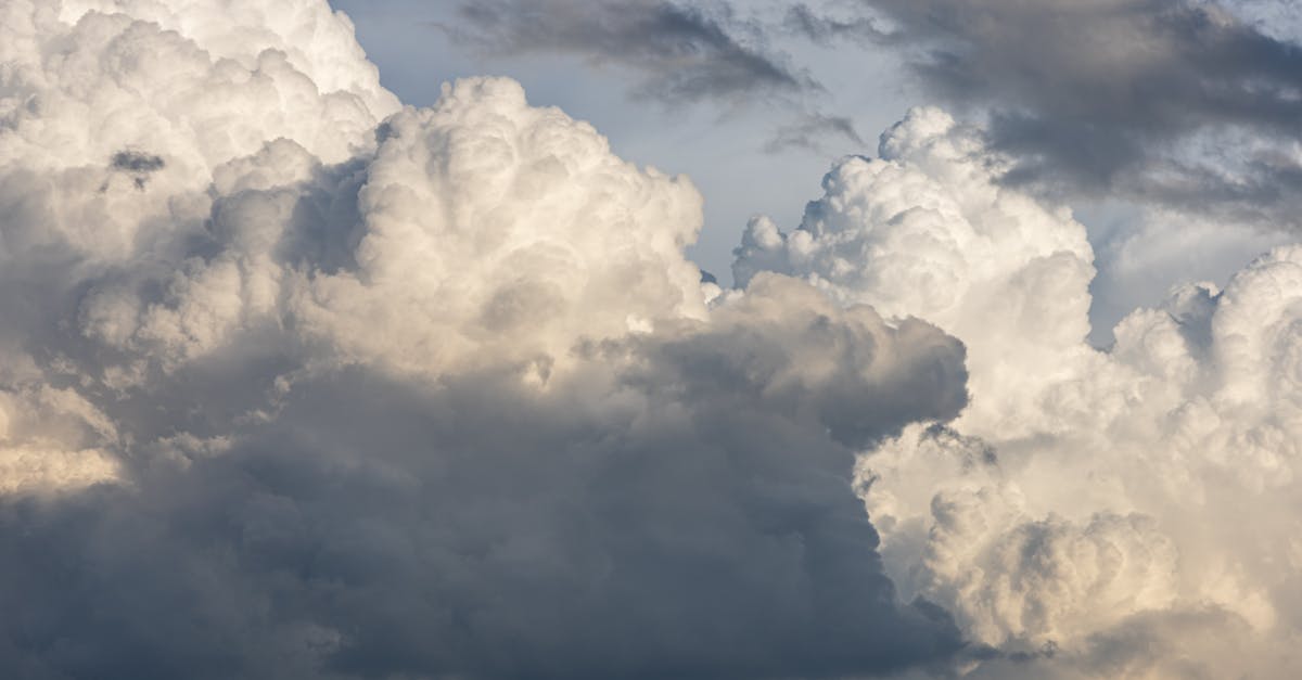 découvrez les dernières observations climatiques, analyses et tendances qui façonnent notre compréhension de l'environnement. restez informé sur les changements climatiques et leurs impacts à travers des données précises et des études approfondies.