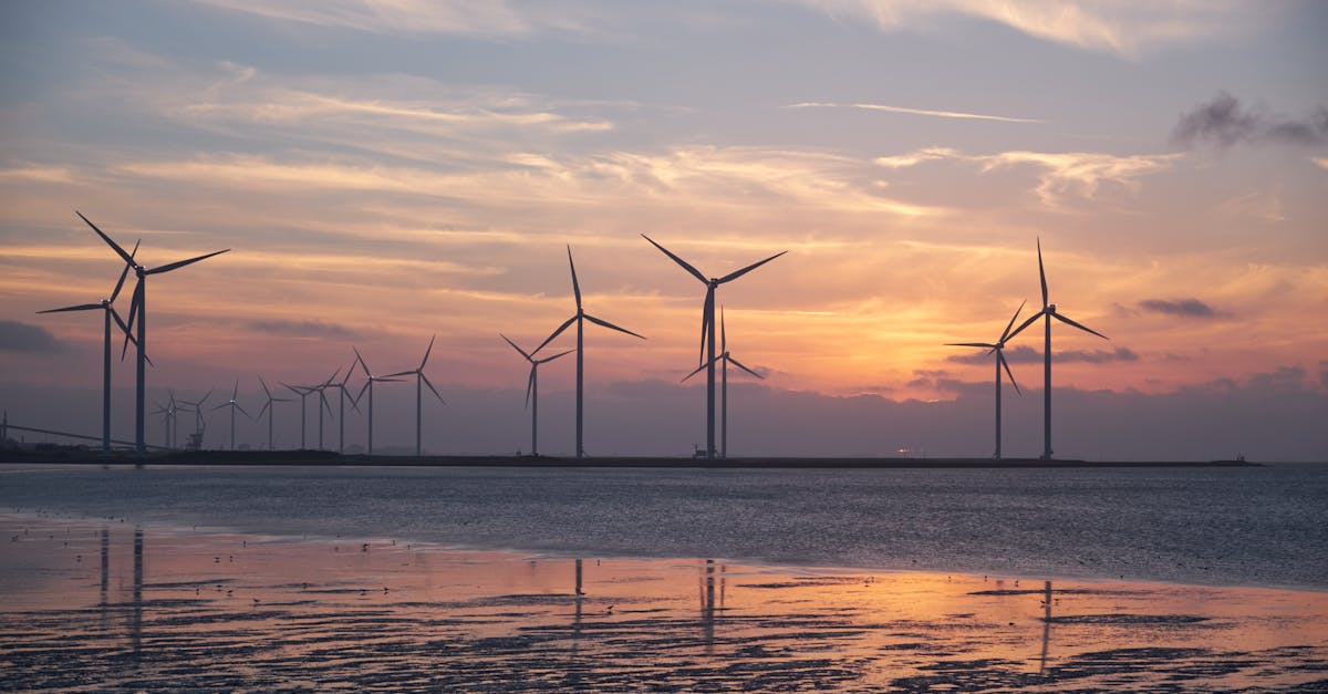 découvrez l'importance de la durabilité dans notre société moderne. explorez des pratiques écologiques et des solutions innovantes pour un avenir plus vert et responsable.