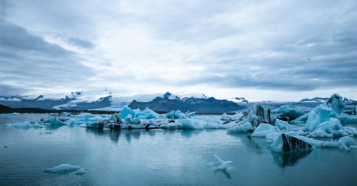 découvrez les enjeux cruciaux du changement climatique, ses impacts sur notre planète et les actions nécessaires pour préserver l'environnement pour les générations futures.
