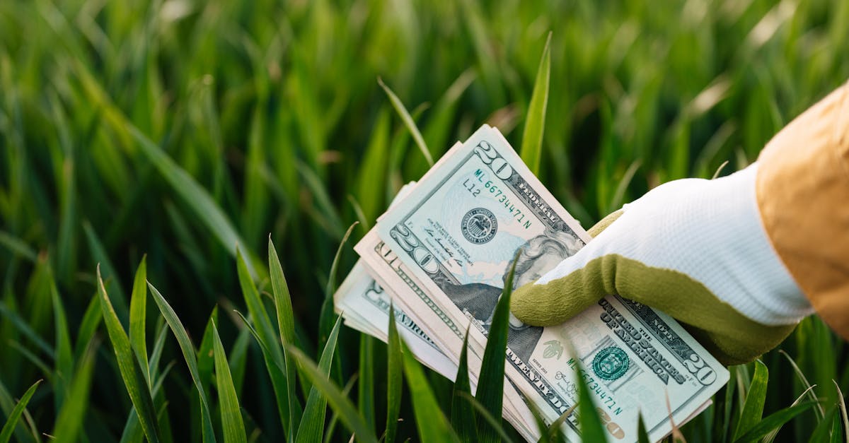 découvrez le monde de la finance durable : des investissements responsables, des stratégies écologiques et des solutions financières innovantes qui favorisent le développement durable tout en générant des rendements. engagez-vous pour un avenir meilleur grâce à une approche éthique de la finance.