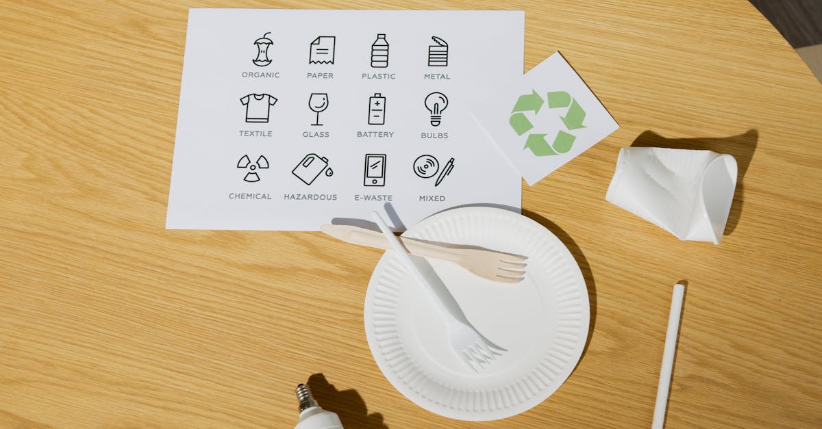 adoptez un mode de vie durable pour préserver notre planète. découvrez des conseils pratiques et des astuces pour intégrer l'éco-responsabilité dans votre quotidien, réduire votre empreinte carbone et vivre en harmonie avec la nature.