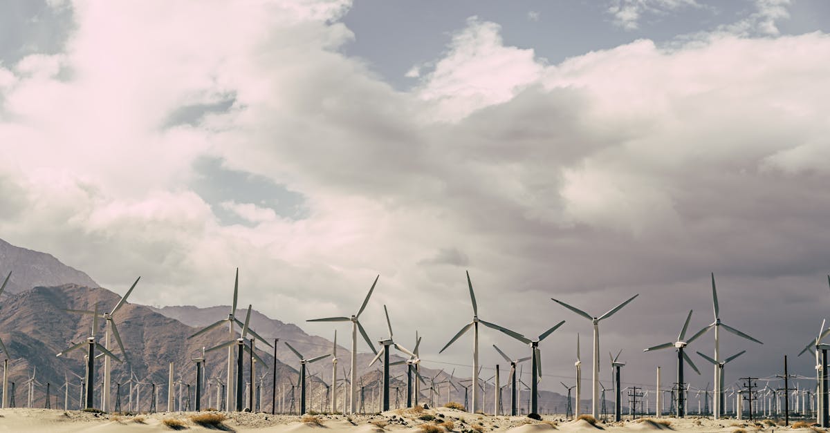 découvrez les enjeux et les solutions de la transition énergétique. explorez les innovations écologiques, les énergies renouvelables et les politiques durables qui façonnent un avenir énergétique respectueux de l'environnement.