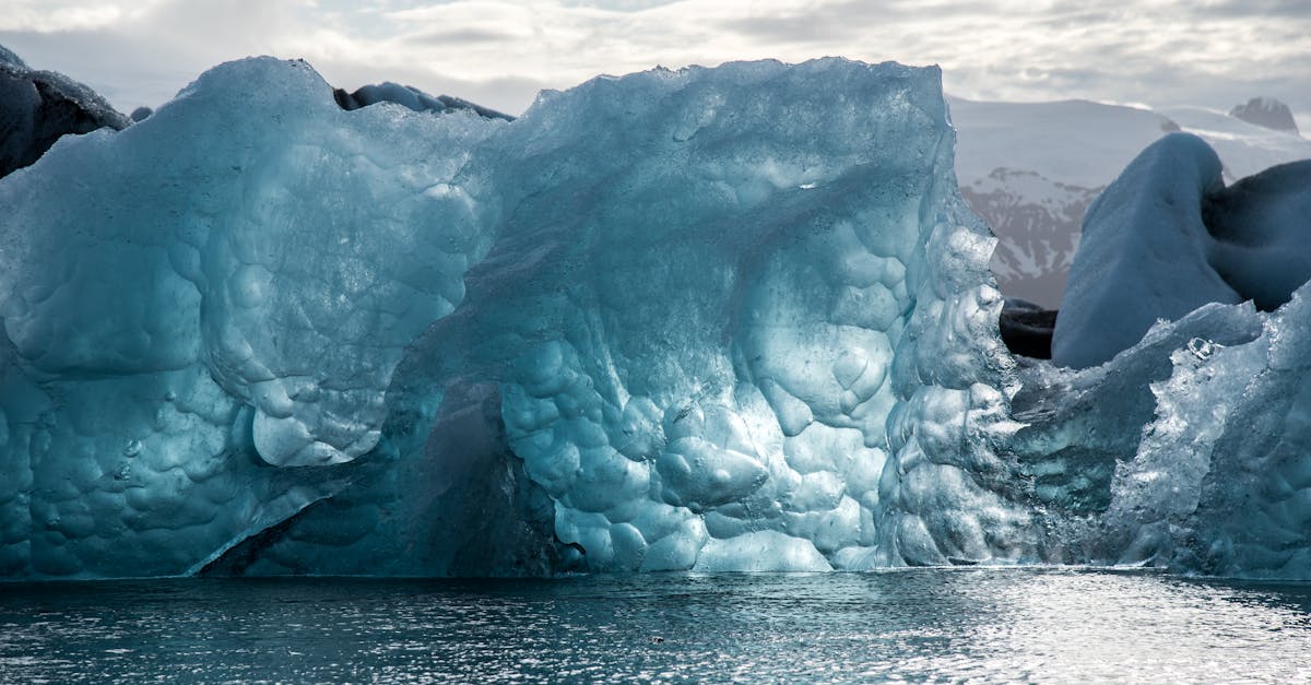 découvrez les impacts du changement climatique sur notre planète, les causes derrière ce phénomène urgent et les actions à entreprendre pour préserver notre environnement. explorez des solutions durables et engagez-vous dans la lutte contre le réchauffement climatique.