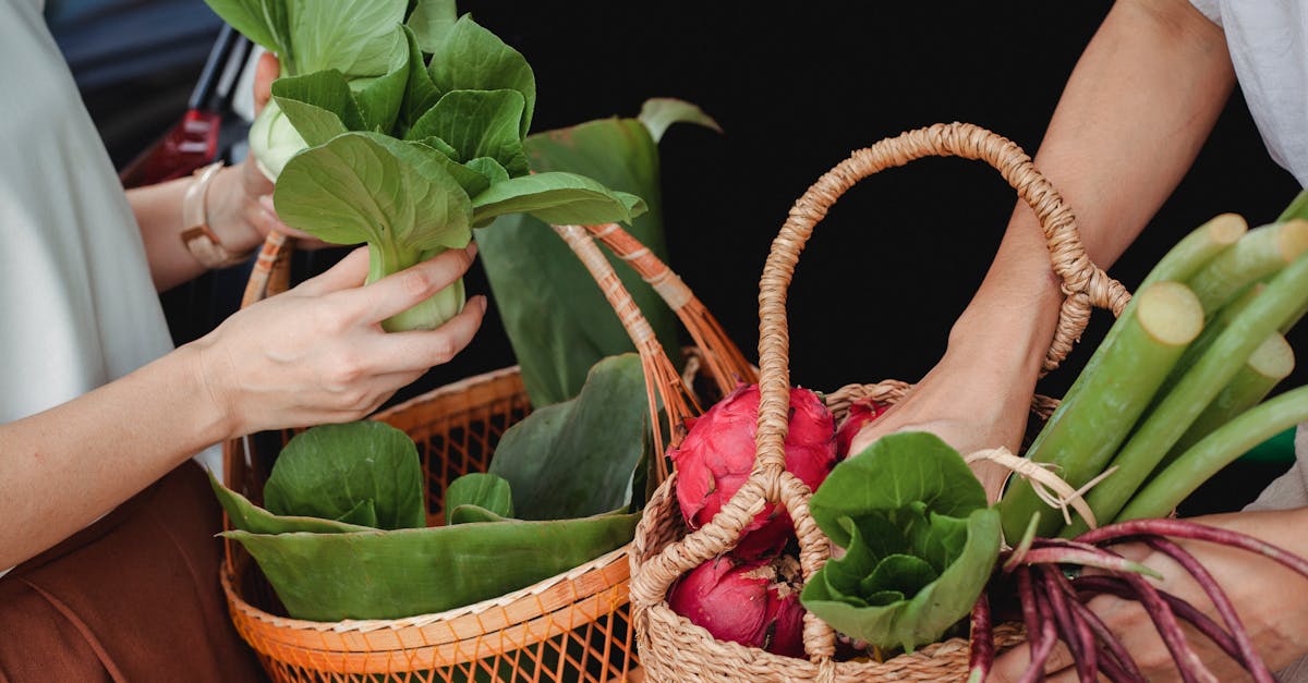 découvrez comment adopter un mode de consommation durable pour préserver notre planète. explorez des astuces et des pratiques écoresponsables qui favorisent un style de vie respectueux de l'environnement tout en répondant à vos besoins quotidiens.