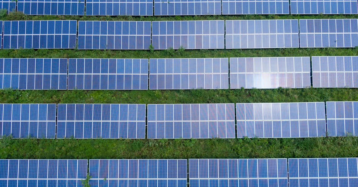 découvrez l'importance de la protection de l'environnement, des solutions pour préserver notre planète, et des actions à mettre en œuvre pour un avenir durable.