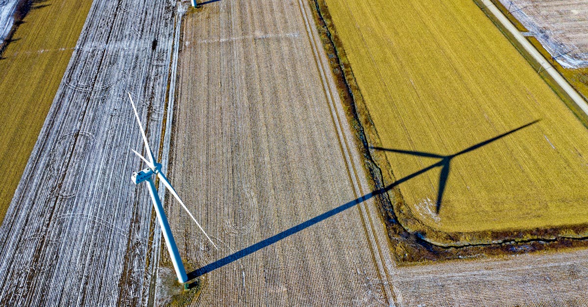découvrez l'univers de la durabilité avec des pratiques respectueuses de l'environnement. apprenez comment adopter un mode de vie durable pour préserver notre planète tout en améliorant votre qualité de vie.