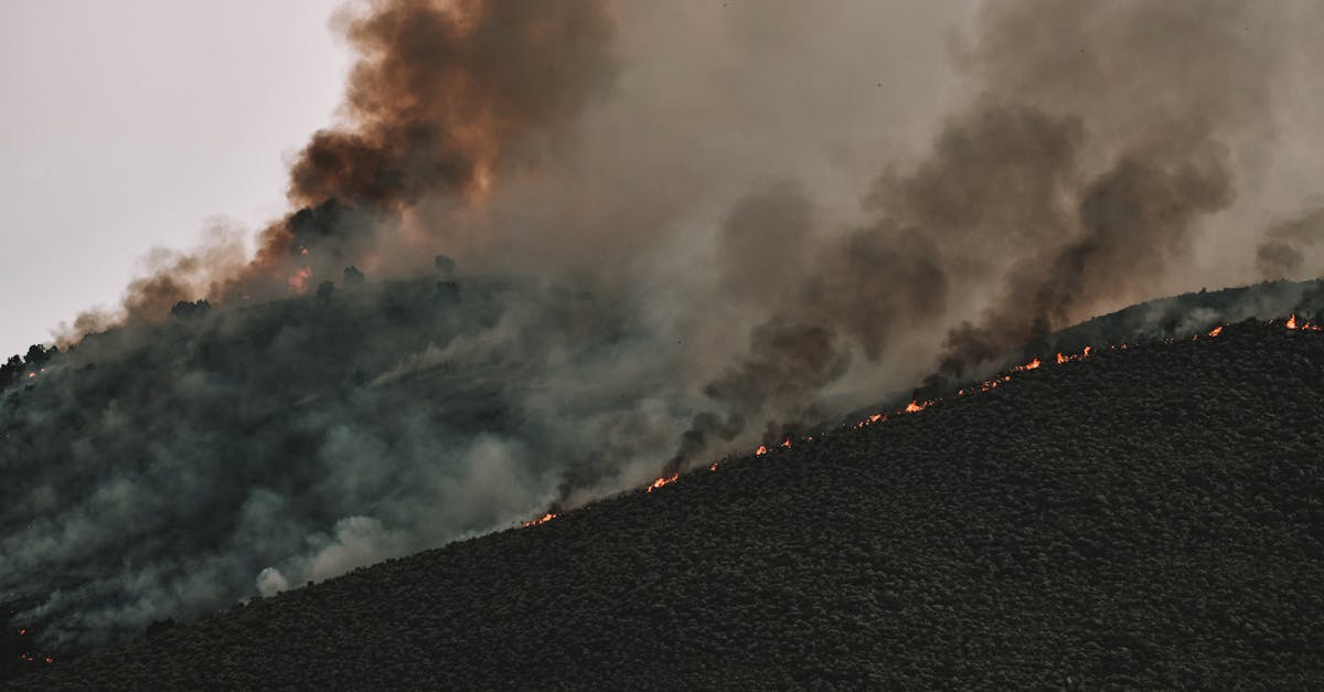 découvrez l'impact des émissions de carbone sur notre planète et les solutions pour réduire notre empreinte écologique. informez-vous sur les enjeux environnementaux et les actions à entreprendre pour un avenir durable.