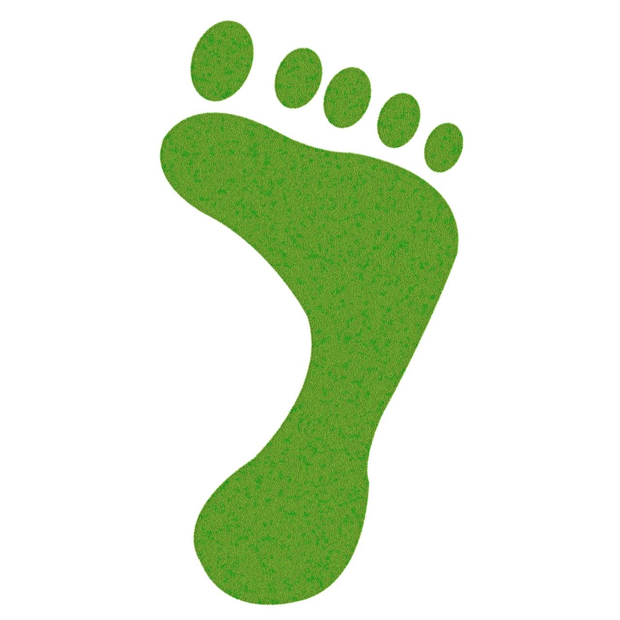 découvrez tout sur l'empreinte carbone : son impact sur l'environnement, des conseils pour la réduire et des solutions durables pour un avenir meilleur. informez-vous et agissez dès aujourd'hui pour préserver notre planète.
