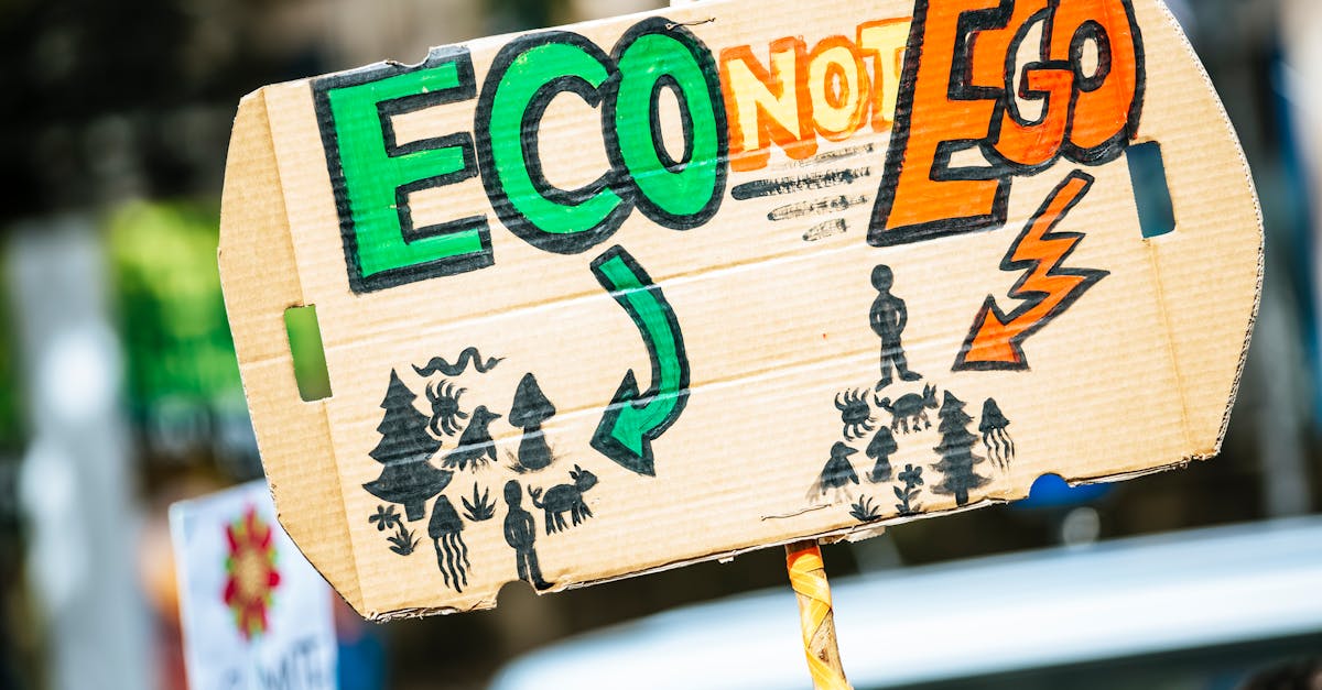 découvrez les enjeux et les impacts du changement climatique, ainsi que les solutions pour un avenir durable. informez-vous sur les actions à entreprendre pour préserver notre planète face à ce phénomène global.
