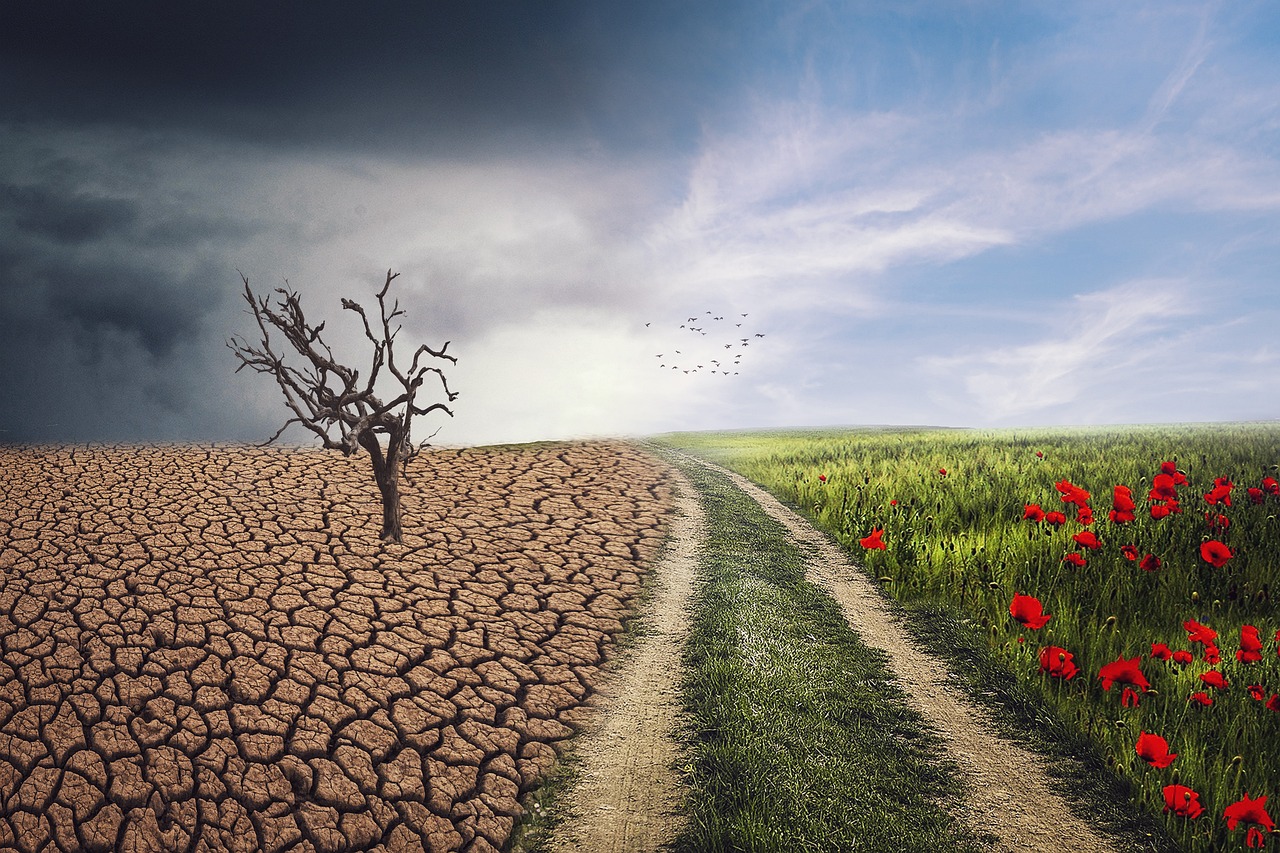 découvrez les causes, conséquences et solutions liées au changement climatique. informez-vous sur l'impact du réchauffement global et les actions possibles pour préserver la planète.