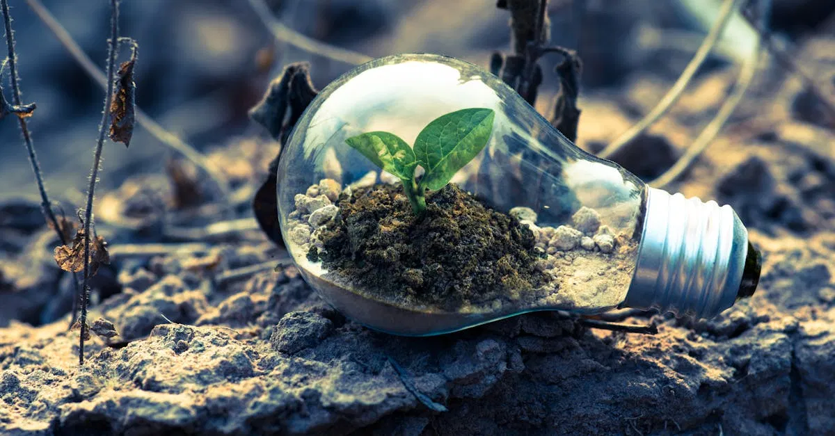 Économie verte : comprendre les enjeux et les opportunités pour un avenir durable