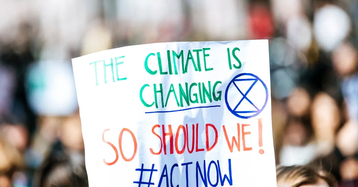 Lutte contre le changement climatique : actions concrètes pour un avenir durable