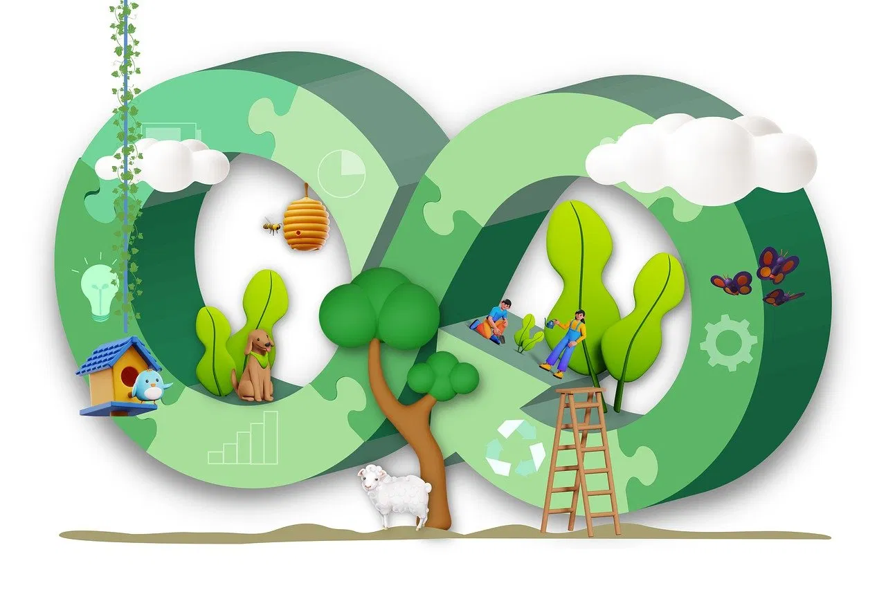 Écosystème et durabilité : un aperçu des enjeux environnementaux