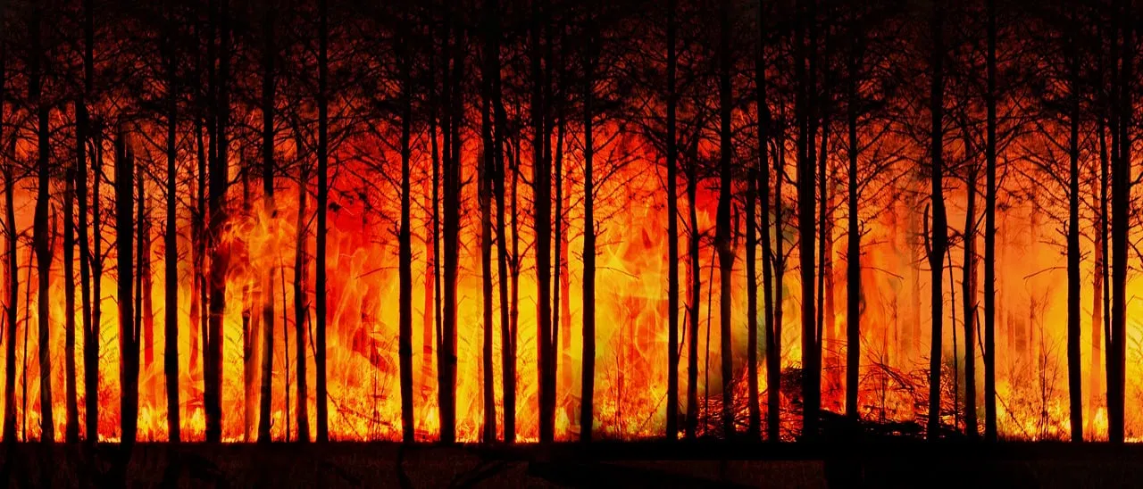 Les 10% les plus aisés : principaux contributeurs aux deux tiers du réchauffement climatique depuis 1990