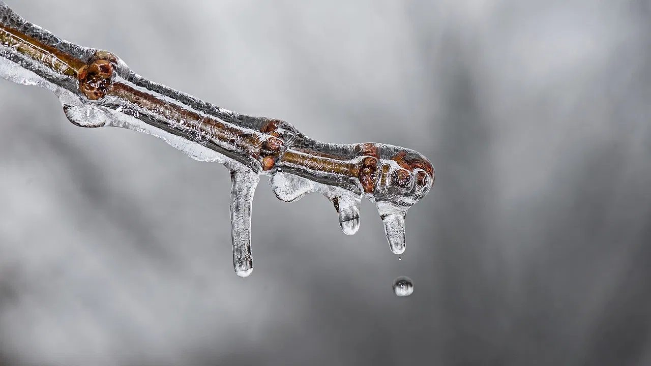 Peut-on vraiment sauver le climat grâce à nos petits gestes quotidiens ?