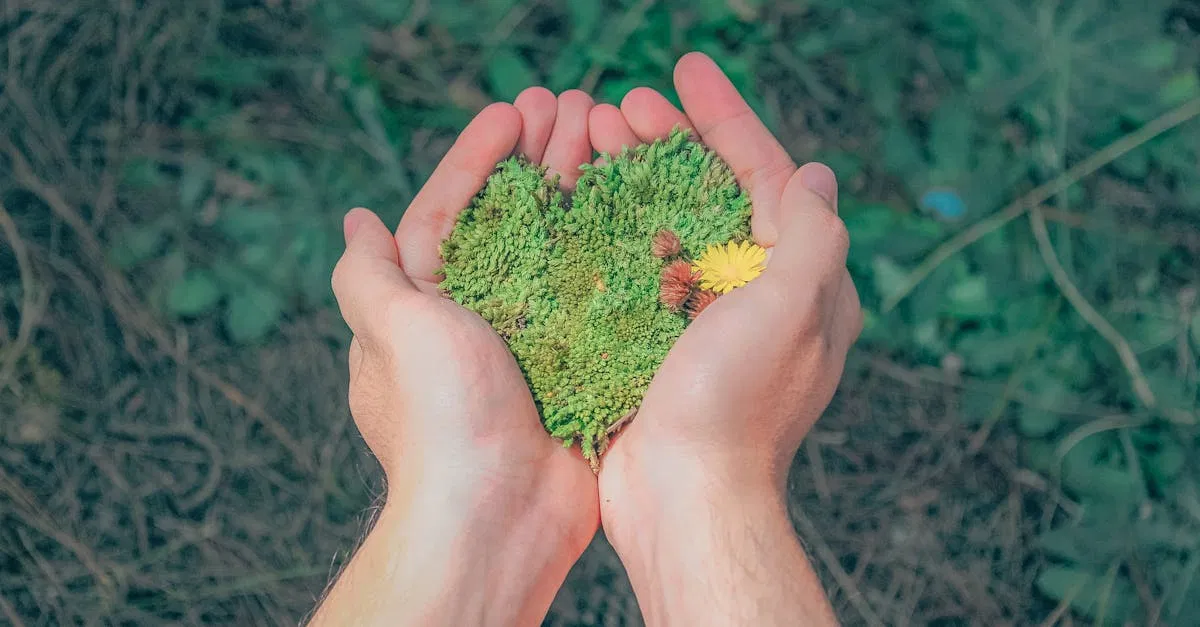 Économie de l’environnement : enjeux et solutions pour un avenir durable