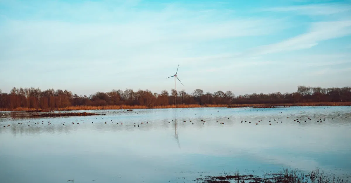 Bioénergies : un avenir durable pour notre planète