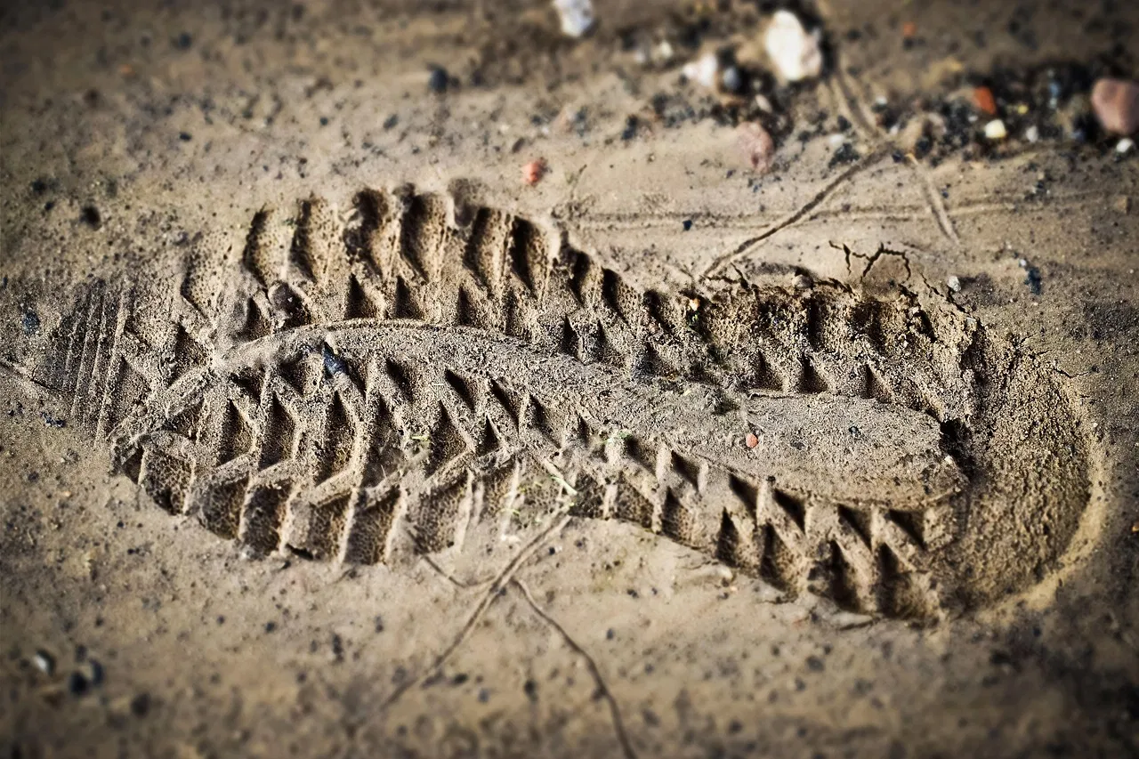 FME : favoriser une empreinte carbone positive par l’économie circulaire