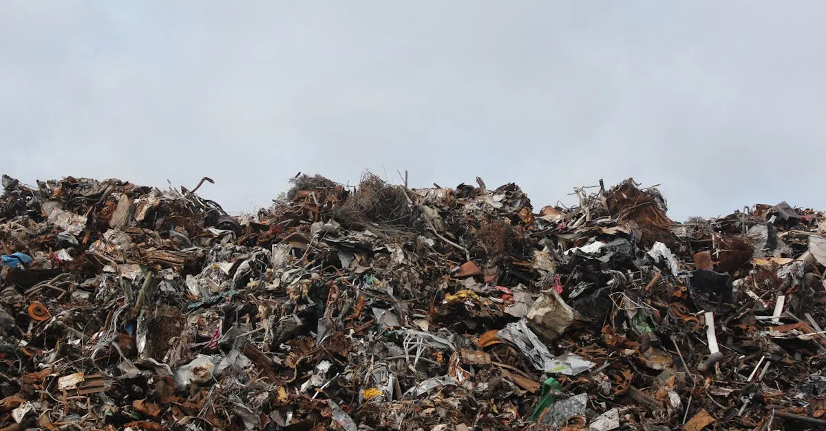 Valorisation des déchets : enjeux et solutions pour un avenir durable